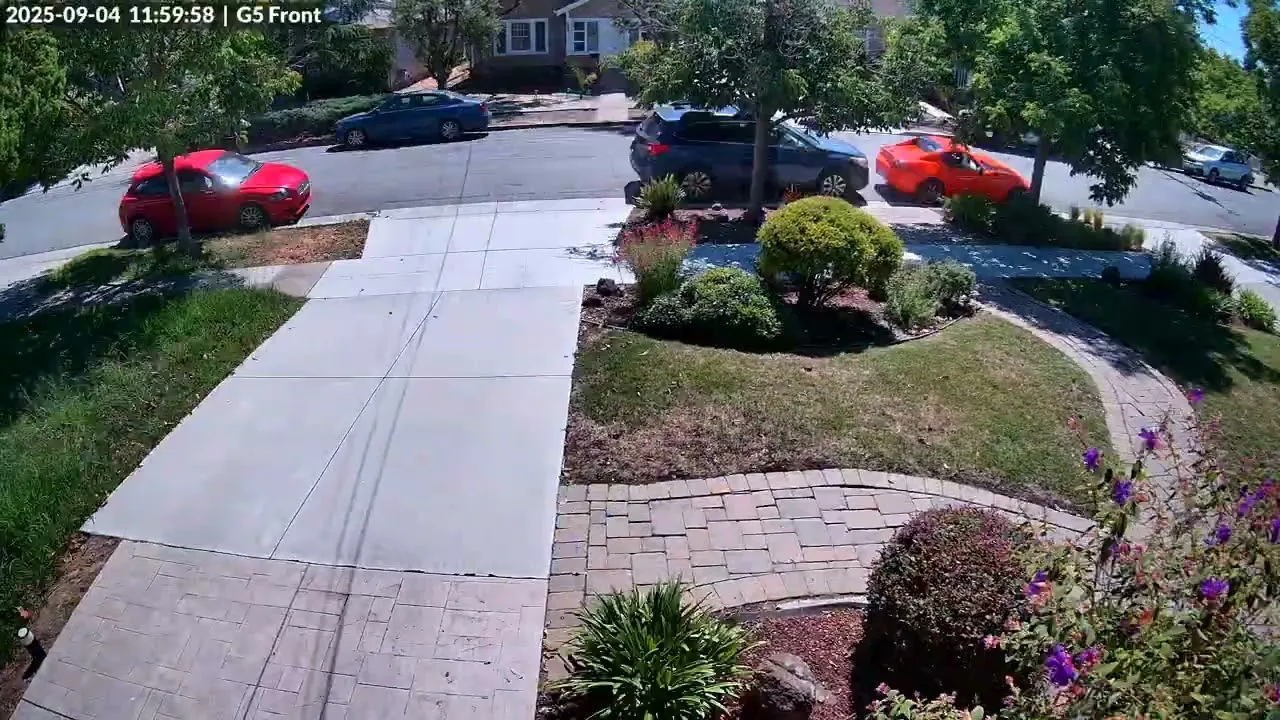109 days of lawn evolution captured by Lawn Lapse